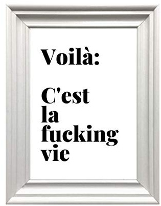 Din A4 Kunstdruck ungerahmt - Voila, C'est la fucking vie Typographie Humor schwarz Deko, Geschenk Druck Poster Bild