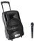 Fenton FT10LED Portable PA System, 10-Inch Active Bluetooth PA Speaker with Wireless UHF Microphone, Rechargeable Battery, USB/SD/AUX Media Player, LED Lighting & Integrated Handle, 450W