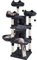 Yaheetech Arbre a Chat Geant 175 cm avec Griffoir Arbre à Chat Design Arbre à Gratter Tour de Jeux avec 2 Grottes Spacieux 3 Plateformes Planche à Gratter Noir