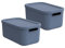 Rotho Albula light 2er-Set Aufbewahrungsbox 12l mit Deckel, Kunststoff, blau (Blau)
