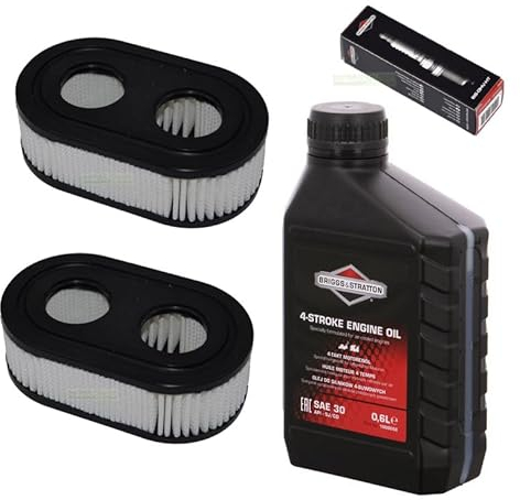 perfektGarten Zündkerze + Filter + Rasenmäheröl kompatibel mit Briggs & Stratton B&S BS 550E 550EX 575EX