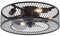 ZQDUFEA Luz de Ventilador de Techo Industrial, candelabro de atenuación Continua para Sala de Estar, Dormitorio, Ventilador de Techo con Control Remoto, Negro, Ventilador con Luz