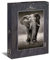 Ulmer Puzzleschmiede - Puzzle „Der Wanderer“– Klassisches 1000 Teile Puzzle – Puzzlemotiv eines imposanten, herannahenden Elefanten als schwarz-weiß-Fotografie