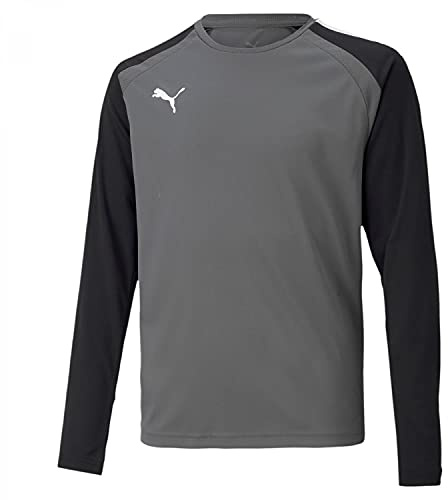 Puma Herren Teampacer Gk Ls JERS Langarmshirt, Perle (Smoked Pearl), 10 Años