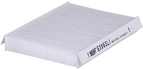 Hengst E3953LI
