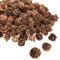 Whaline 150 Stück Getrocknete Tannenzapfen Natur Mini Natürliche Rustikale Tannenzapfen, Braune Tannenzapfen Naturzapfen Kiefernzapfen Deco für Weihnachten Thanksgiving Advent Herbst und Winter Deko