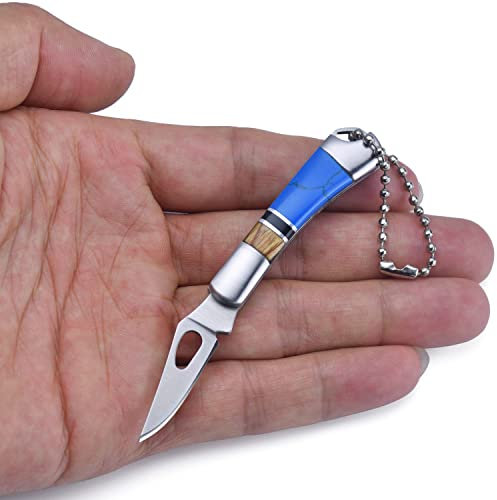 JPCRMOV Mini Klappmesser Messer Gewicht 22 g, Superleicht Taschenmesser mit Schlüsselanhänger, klein Camping Survival Outdoor Messer EDC Knife Steinartefakt Griff Blau (Clip Point)
