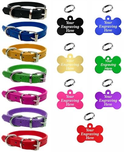 Vibrant Leather Dog Collar for Puppy, Dogs Small, Medium & Large With Personalised Engraved Colourful Bone Shaped Tag (Small (27cm - 33cm Neck), Purple)