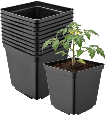 Garronda Pflanztopf Kunststoff 15 x 15 x 15 cm (2,5L) 10er Set eckig mit Drainagelöchern Blumentopf robust Pflanzentopf für Garten Gewächshaus Balkon Anzucht Innen Außenbereich Schwarz GD-0199