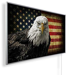 Könighaus 800W Infrarotheizung mit Bild in HD Qualität ✓ inkl. Smart Thermostat ✓ 5 Jahre Garantie ✓ Doppelter überhitzungsschutz ✓ Infrarot Wandheizung ✓ Motiv: 113. Adler USA
