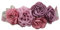 Cinturones de boda para vestidos y vestidos con flores blancas y marfil, perlas, flores de satén, accesorios de decoración para damas de honor, Morado y rojo., Talla única