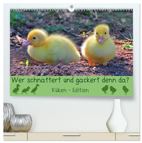 Wer schnattert und gackert denn da? - Küken-Edition (hochwertiger Premium Wandkalender 2026 DIN A2 quer), Kunstdruck in Hochglanz: Süße, flauschige Küken zum Verlieben (CALVENDO Tiere)
