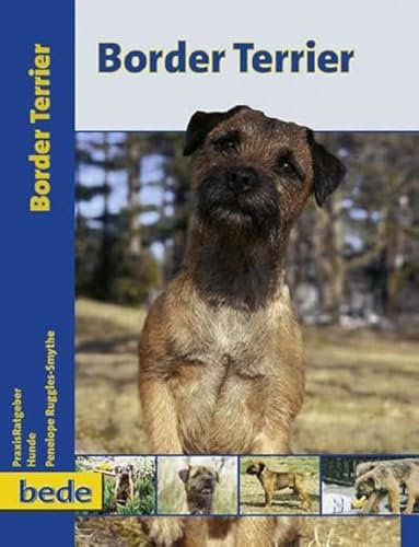 Border Terrier, Praxisratgeber