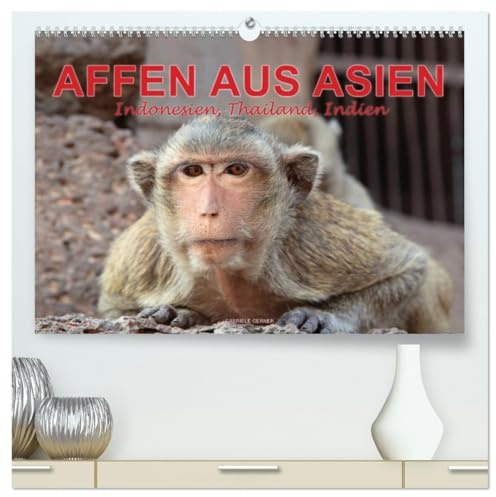 AFFEN AUS ASIEN Indonesien, Thailand, Indien (hochwertiger Premium Wandkalender 2026 DIN A2 quer), Kunstdruck in Hochglanz: Erleben Sie die ... Affenwald von Ubud auf Bali. (CALVENDO Tiere)