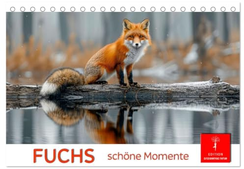Fuchs - schöne Momente (Tischkalender 2026 DIN A5 quer), CALVENDO Monatskalender: Die Welt der Füchse in der freien Natur. (CALVENDO Tiere)
