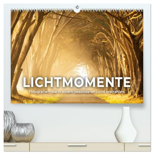 Lichtmomente - Fotografien, die in einem besonderen Licht erstrahlen. (hochwertiger Premium Wandkalender 2026 DIN A2 quer), Kunstdruck in Hochglanz: ... besonderen Licht erscheinen. (CALVENDO Orte)