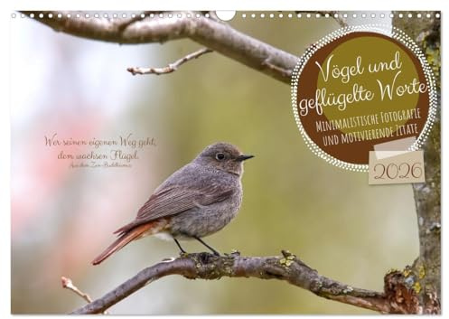 Vögel und geflügelte Worte (Wandkalender 2026 DIN A3 quer), CALVENDO Monatskalender: Minimalistische Fotografie und motivierende Zitate (CALVENDO Tiere)