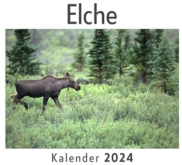 Elche (Wandkalender 2024, Kalender DIN A4 quer, Monatskalender im Querformat mit Kalendarium, Das perfekte Geschenk)