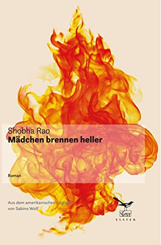 Mädchen brennen heller: Roman