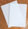 GOYAPRINT Metacrilato Blanco Opal 3 mm 2 ud de 29,7x42 cm (A3) Plancha Acrílico Lámina de Plástico Rígido Blanco (2 uds 29,7x42 cm)
