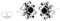WINDALF Damen Ohrstecker mit Stein NASTIA 8 mm Schwarzer Onyx Ornamentik 925 Sterlingsilber