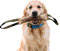 Dingo Beisswurst aus Jute 2 Griff Hundetraining Hundespielzeug Spiel mit Hund Apport Ausbildung handgefertigter Länge 40 cm natürliche Farbe 10599