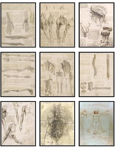 BigWig Prints Da Vinci Anatomie-Wandkunst, Renaissance-Kunstwerk, Leonardo Da Vinci Zeichnungen, menschliche Anatomie, Vitruvianischer Mann, klassische Kunstdrucke für medizinisches Büro, ungerahmt, 9
