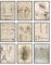 BigWig Prints Da Vinci Anatomie-Wandkunst, Renaissance-Kunstwerk, Leonardo Da Vinci Zeichnungen, menschliche Anatomie, Vitruvianischer Mann, klassische Kunstdrucke für medizinisches Büro, ungerahmt, 9