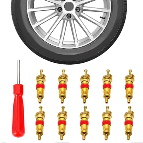 1 Extracteur de Valve, Décapsuleur de Valve avec 5 Embouts de Valve pour Voiture, extracteur de Noyau de Valve,Tournevis de réparation, Outils de Valve de Pneu