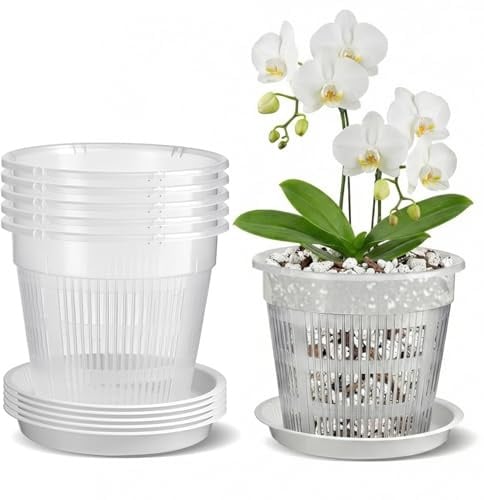 Dwitkul 5 Pezzi Vaso Trasparente per Orchidee, Vasi per Orchidee da 14 cm, Vaso Plastica Trasparente con Fori di Drenaggio e Piattini, per Interni ed Esterni, Ideale per Phalaenopsis, Dendrobium