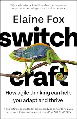 Switchcraft: Easy Techniques for Boosting Your Resilience and Mental Agility. 'Fascinating' - MICHAEL MOSLEY