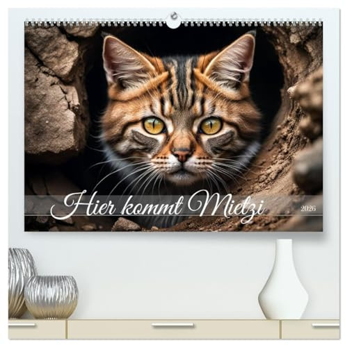 Hier kommt Mietzi (hochwertiger Premium Wandkalender 2026 DIN A2 quer), Kunstdruck in Hochglanz: Ein Kalender mit frechen Katzen, jeden Monat neu! (CALVENDO Tiere)