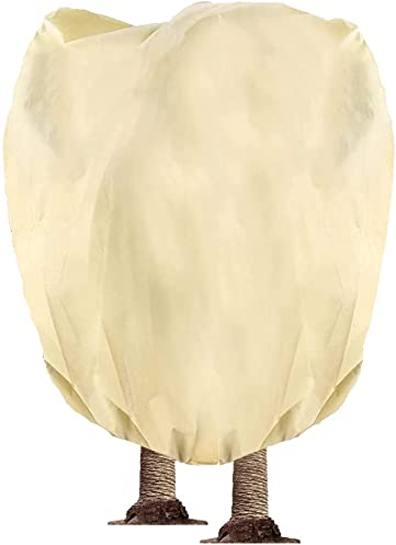 Hydrogarden Winterschutz Vlieshaube EXTREM beige, 350 x 250cm 80g/qm extrem haltbar – Kübelpflanzensack atmungsaktiv Olivenbäume, Palmen/Frostschutz Pflanzen/Reißverschluss