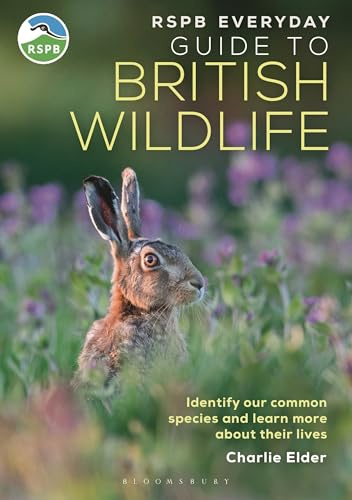 The RSPB Everyday Guide to British Wildlife: Identify our common species and learn more about their lives