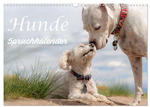 Hunde Spruchkalender (Wandkalender 2026 DIN A3 quer), CALVENDO Monatskalender: Hunde haben Humor (CALVENDO Tiere)