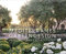 Mediterranes Gartendesign: Spektakuläre Privatgärten (Garten- und Ideenbücher BJVV)