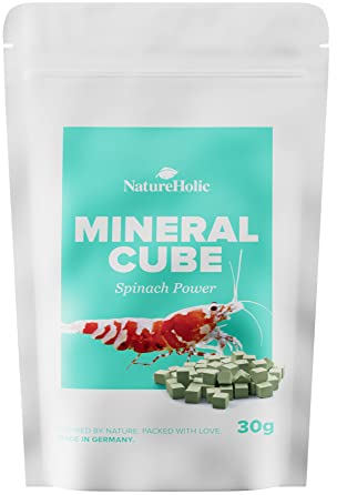 NatureHolic - MineralCube Spinat Power I zur Mineralstoffversorgung I mit wertvollem Spinat I Keine Wasserbelastung I ideales Ferienfutter I 47ml