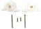 KGA-SUPPLIES Brushroll Plastic End Caps Kit for GTECH AirRam DM001 AR02 AR01 Cordless Vacuum