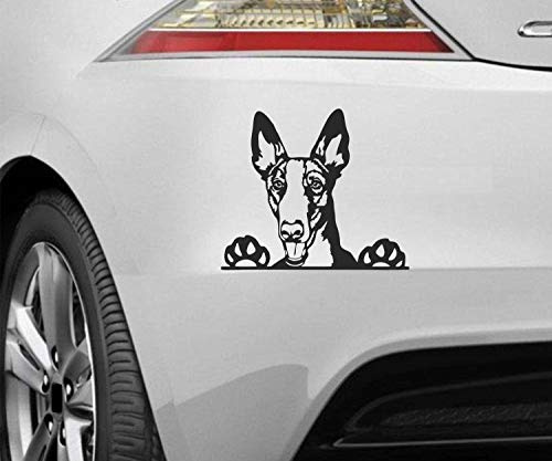myrockshirt Peeking Dog Spähender Hund Podenco Ibicenco ca.20cm Aufkleber,Sticker,Decal,Autoaufkleber,UV&Waschanlagenfest,Profi-Qualität,Wandtattoo