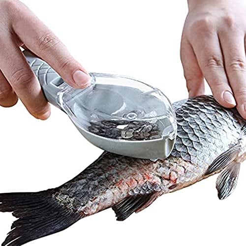 UV STYLISH Fish Scales - Descaler, Plastic Fish Scale Scraper, Fish Skin Peeler, Fish Scaler Fish Scale Remover with Clear Cover for Kitchen, Restaurant (Blue)