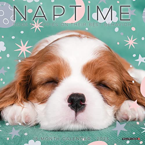 Naptime Dogs 2023 Mini Wall Calendar