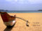 Sri Lanka Guest Book: Lined 400+ Spaces Option: Honeymoons, Holidays, Vacations, Funerals, Baby Showers, Birthdays, Anniversaries, Christenings, ... messages. (Gifts & Accessories, Band 59)