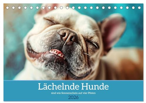 Lächelnde Hunde sind wie Sonnenschein auf vier Pfoten (Tischkalender 2026 DIN A5 quer), CALVENDO Monatskalender: Diesem Lächeln kann man nicht widerstehen! (CALVENDO Tiere)