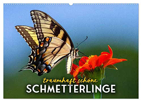 Traumhaft schöne Schmetterlinge (Wandkalender 2026 DIN A2 quer), CALVENDO Monatskalender: Farbenfrohe Insekten. (CALVENDO Tiere)