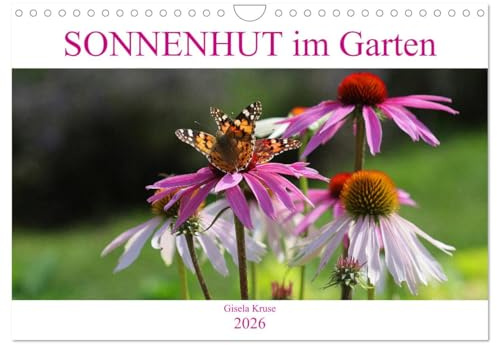 Sonnenhut im Garten (Wandkalender 2026 DIN A4 quer), CALVENDO Monatskalender: Zwei Stauden mit demselben Namen (CALVENDO Natur)