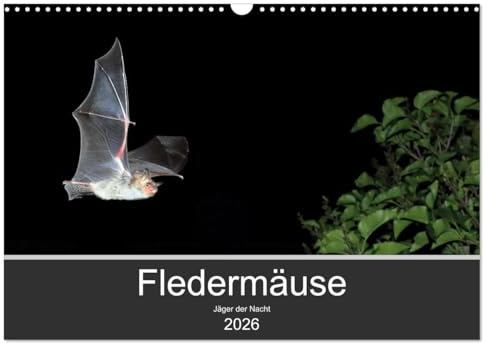 Fledermäuse - Jäger der Nacht (Wandkalender 2026 DIN A3 quer), CALVENDO Monatskalender: Fotos unserer europäische Fledermäusen aus allen Jahreszeiten. (CALVENDO Tiere)