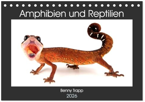 Amphibien und Reptilien (Tischkalender 2026 DIN A5 quer), CALVENDO Monatskalender: Amphibien und Reptilien aus aller Welt (CALVENDO Tiere)
