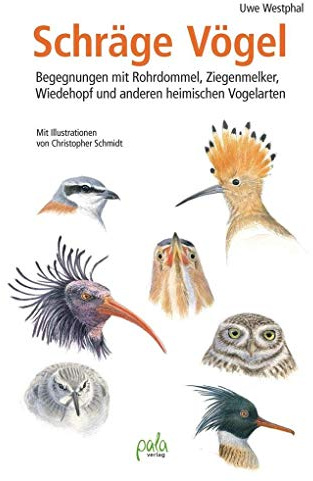 Schräge Vögel: Begegnungen mit Rohrdommel, Ziegenmelker, Wiedehopf und anderen heimischen Vogelarten