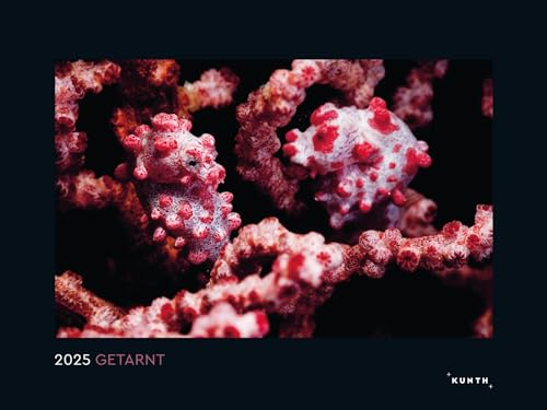 Getarnt - KUNTH Wandkalender 2025: Hochwertiger, bildstarker Kalender mit Spiralbindung im Großformat