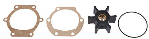 D DOLITY Kit girante pompa acqua per Johnson 09-810B 810B Jabsco 653-0001